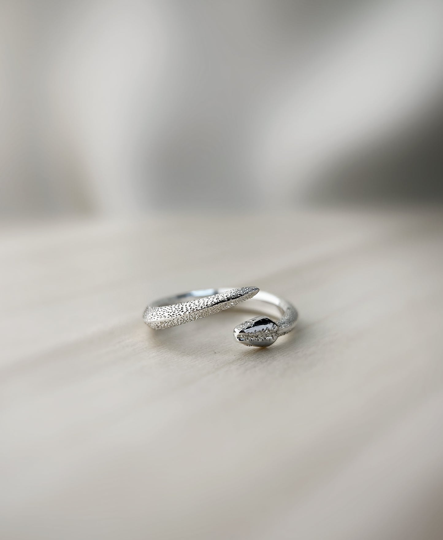 Bague OUROBOROS