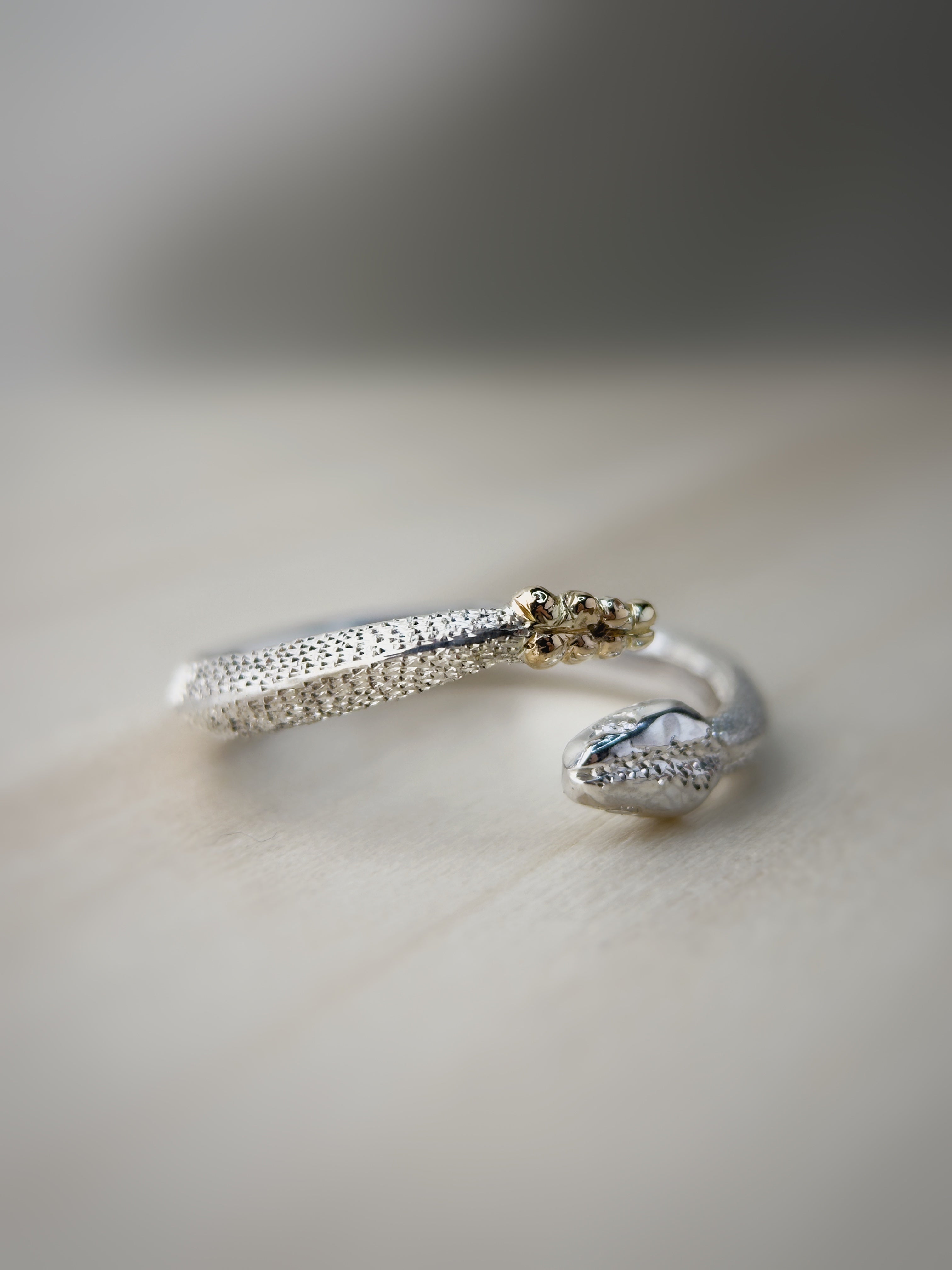 Bague OUROBOROS NEBU