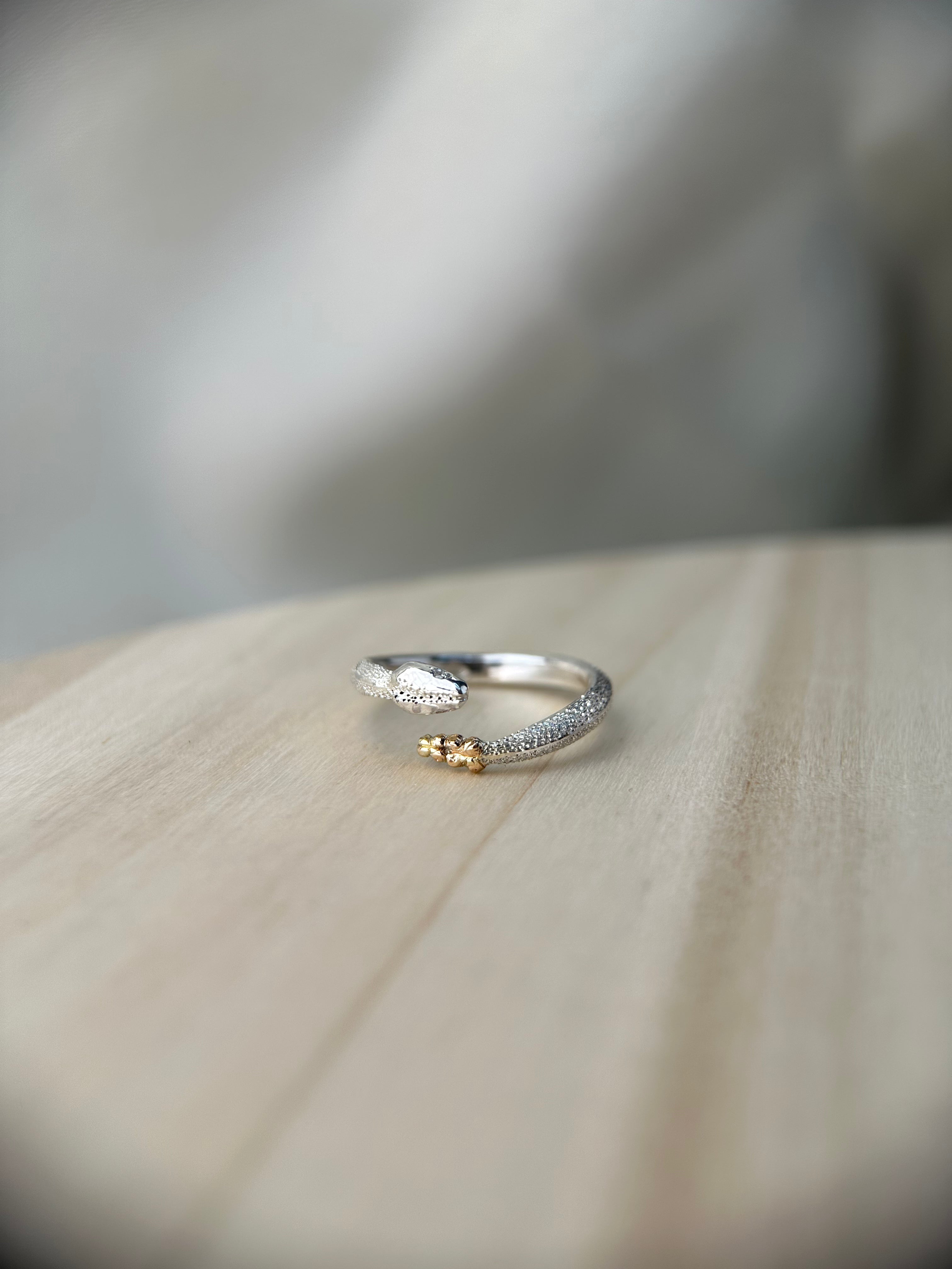 Bague OUROBOROS NEBU