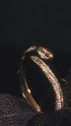 Bague OUROBOROS OR